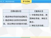 人教版生物七年级下册 第六章  神经系统的组成（课件）七年级生物下册（人教版）