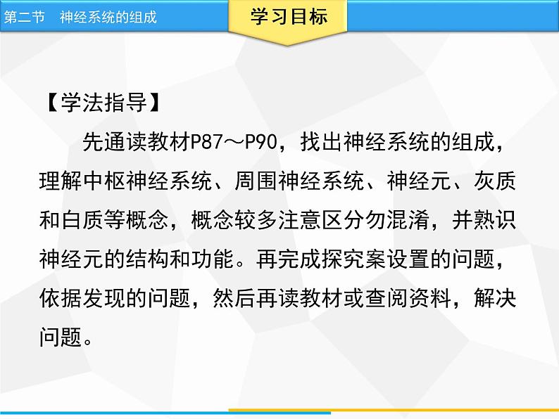 人教版生物七年级下册 第六章  神经系统的组成（课件）七年级生物下册（人教版）第3页