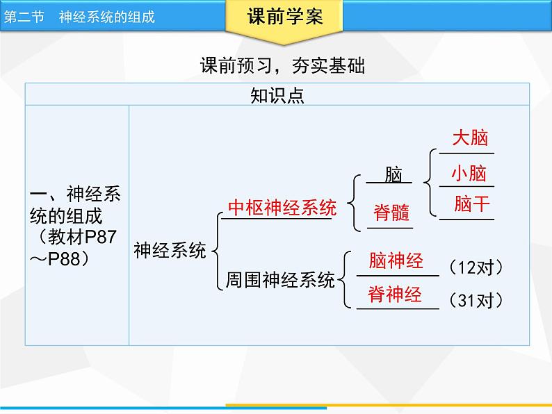 人教版生物七年级下册 第六章  神经系统的组成（课件）七年级生物下册（人教版）第4页