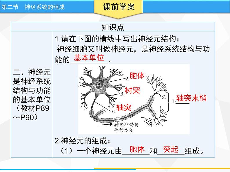 人教版生物七年级下册 第六章  神经系统的组成（课件）七年级生物下册（人教版）第5页