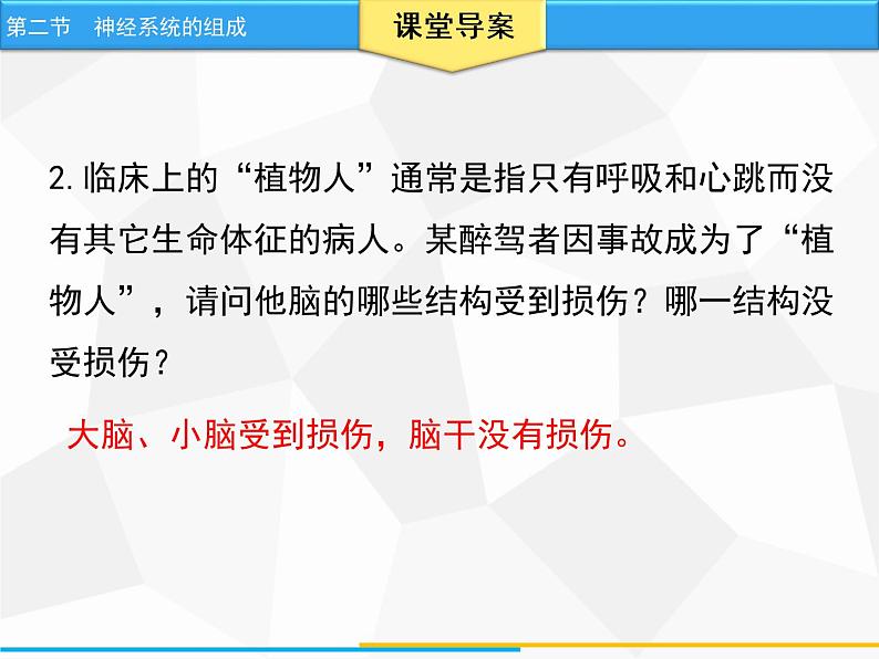 人教版生物七年级下册 第六章  神经系统的组成（课件）七年级生物下册（人教版）第8页