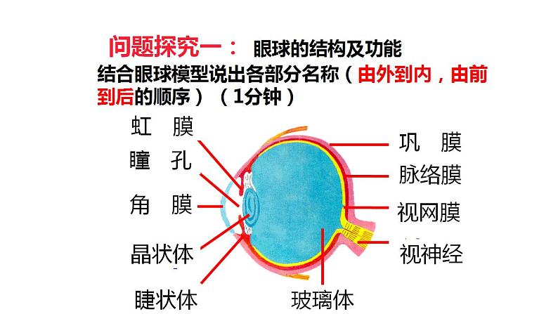 人教版生物七年级下册 第六章 《人体对外界环境的感知》教学课件07