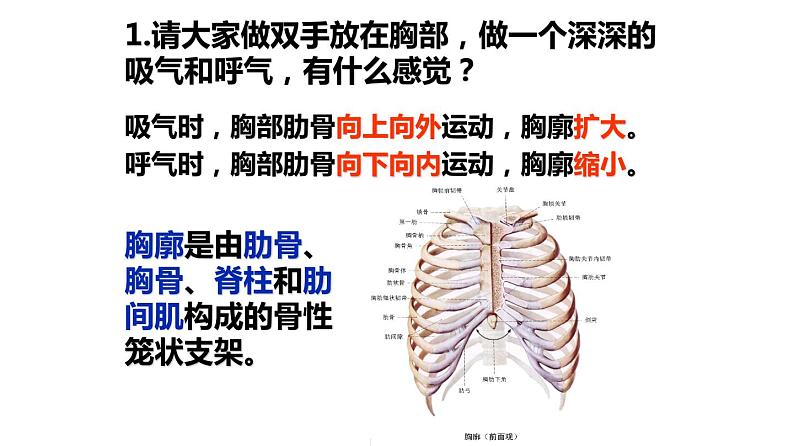 人教版生物七年级下册 第三章 发生在肺内的气体交换（课件）(人教版)（共47张PPT）第7页