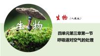 初中生物人教版 (新课标)七年级下册第一节 呼吸道对空气的处理试讲课课件ppt