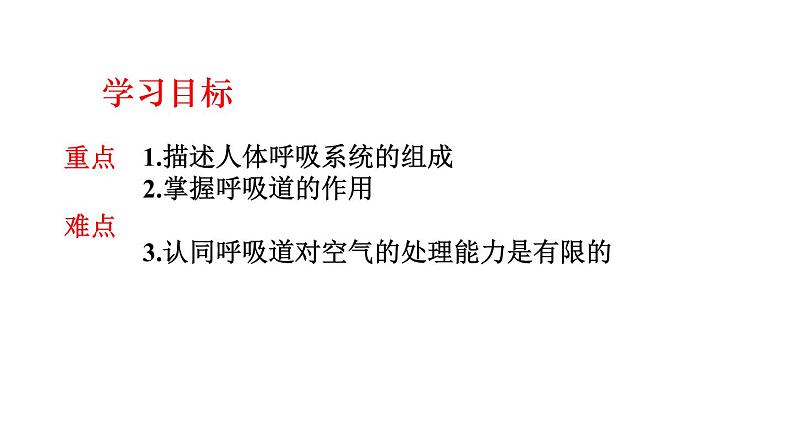 人教版生物七年级下册 第三章 呼吸道对空气的处理（课件） (人教版)（共30张PPT）02