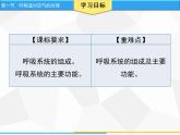 人教版生物七年级下册 第三章 呼吸道对空气的处理（课件）七年级生物下册（人教版）