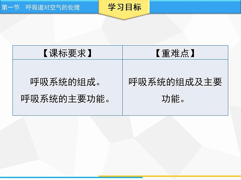 人教版生物七年级下册 第三章 呼吸道对空气的处理（课件）七年级生物下册（人教版）02