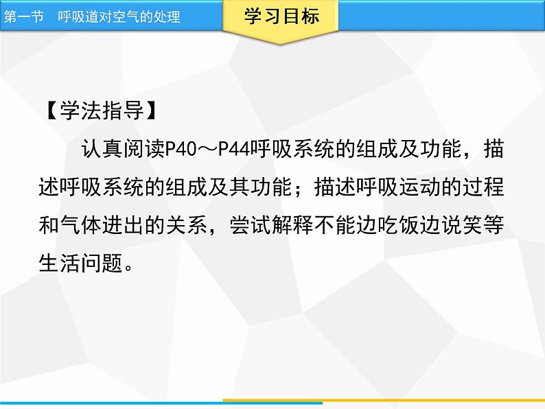 人教版生物七年级下册 第三章 呼吸道对空气的处理（课件）七年级生物下册（人教版）03