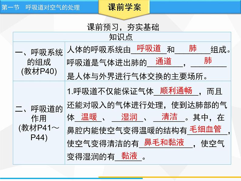 人教版生物七年级下册 第三章 呼吸道对空气的处理（课件）七年级生物下册（人教版）04