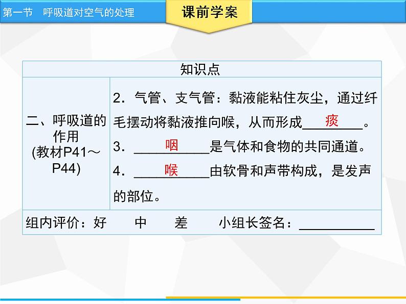 人教版生物七年级下册 第三章 呼吸道对空气的处理（课件）七年级生物下册（人教版）05