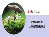 人教版生物七年级下册 第五章  人体内废物的排出（课件）-(人教版)（共25张PPT)