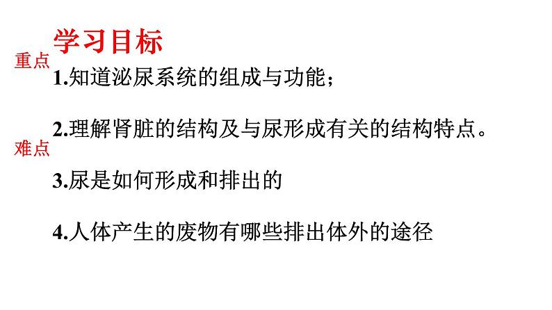 人教版生物七年级下册 第五章  人体内废物的排出（课件）-(人教版)（共25张PPT)第2页