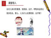 人教版生物七年级下册 第五章  人体内废物的排出（课件）-(人教版)（共25张PPT)