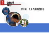 人教版生物七年级下册 第五章  人体内废物的排出（课件）-(人教版)（共25张PPT)