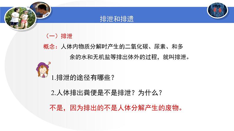 人教版生物七年级下册 第五章  人体内废物的排出（课件）-(人教版)（共25张PPT)第5页