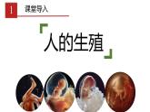人教版生物七年级下册 第一章  人的生殖（课件）（共29张PPT)