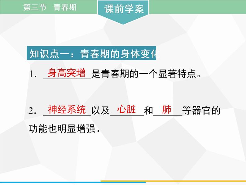 人教版生物七年级下册 第一章 青春期课件（41张PPT）七年级生物下册（人教版）第4页