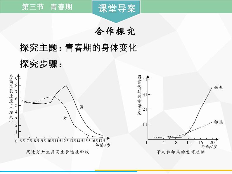 人教版生物七年级下册 第一章 青春期课件（41张PPT）七年级生物下册（人教版）第8页