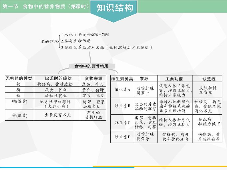 人教版生物七年级下册 第一章 食物中的营养物质（第2课时）七年级生物下册（人教版）课件PPT第2页