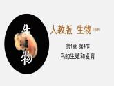 初中生物人教版八年级下册 7.1.4 鸟的生殖和发育（课件）(共32张PPT)