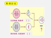初中生物人教版八年级下册 7.2.3 基因的显性和隐性（课件）(共21张PPT)
