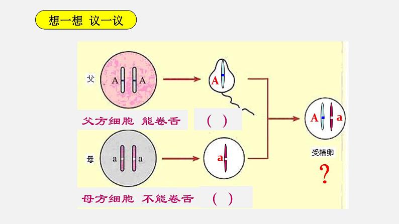 初中生物人教版八年级下册 7.2.3 基因的显性和隐性（课件）(共21张PPT)第2页