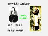 初中生物人教版八年级下册 7.2.3 基因的显性和隐性（课件）(共21张PPT)