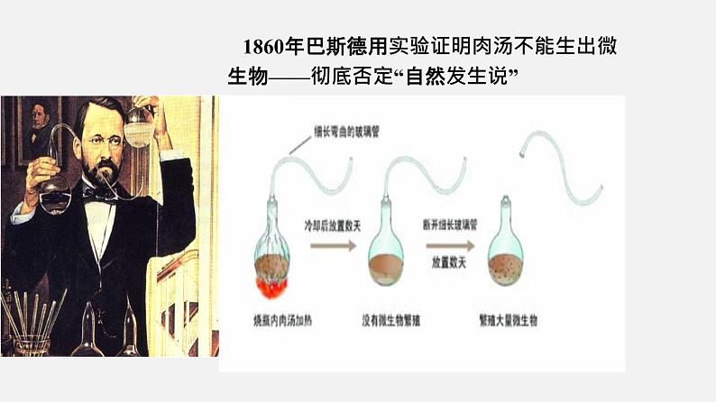 初中生物人教版八年级下册 7.3.1 地球上生命的起源（课件）(共20张PPT)08