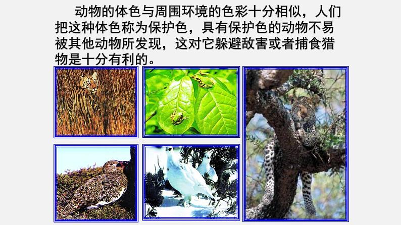 初中生物人教版八年级下册 7.3.3 生物进化的原因（课件）(共30张PPT)第8页