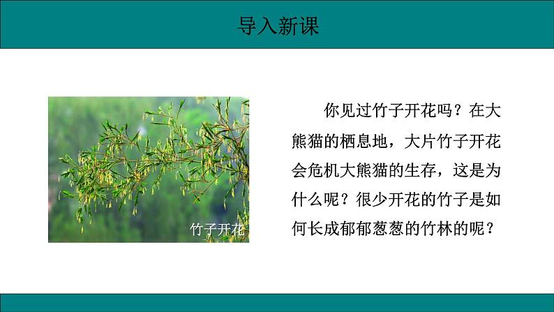 初中生物人教版八年级下册7.1.1  植物的生殖课件 八年级生物下册（人教版）第3页