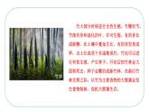 初中生物人教版八年级下册7.1.1  植物的生殖课件 八年级生物下册（人教版）