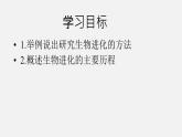 初中生物人教版八年级下册7.3.2 生物进化的历程（课件）(共18张PPT)