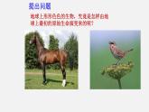 初中生物人教版八年级下册7.3.2 生物进化的历程（课件）(共18张PPT)