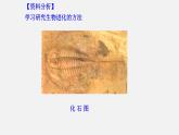 初中生物人教版八年级下册7.3.2 生物进化的历程（课件）(共18张PPT)