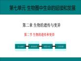 初中生物人教版八年级下册7.2.2  基因在亲子间的传递课件 八年级生物下册（人教版）