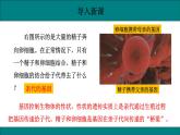 初中生物人教版八年级下册7.2.2  基因在亲子间的传递课件 八年级生物下册（人教版）