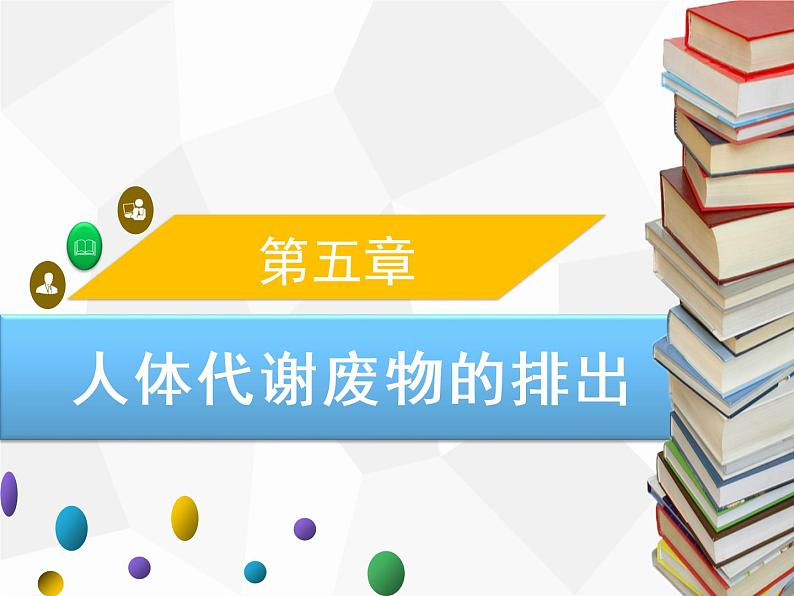 人教版生物七年级下册 第五章 人体代谢废物的排出（课件）七年级生物下册（人教版）第1页