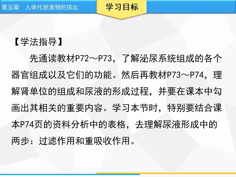 人教版生物七年级下册 第五章 人体代谢废物的排出（课件）七年级生物下册（人教版）第3页