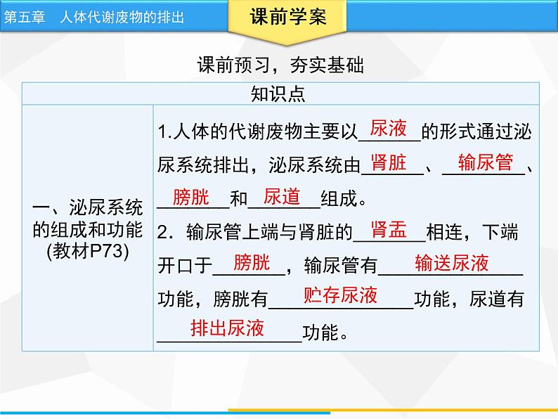 人教版生物七年级下册 第五章 人体代谢废物的排出（课件）七年级生物下册（人教版）第4页