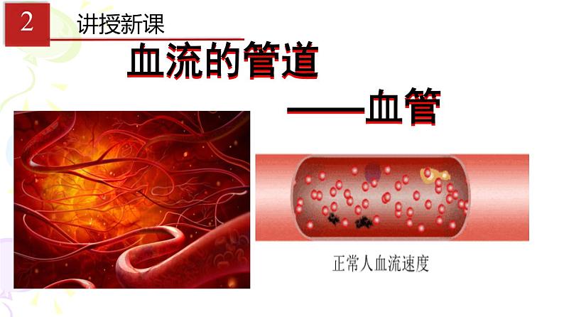 人教版生物七年级下册 第四章 血流的管道——血管（课件） (人教版)（共31张PPT)第4页