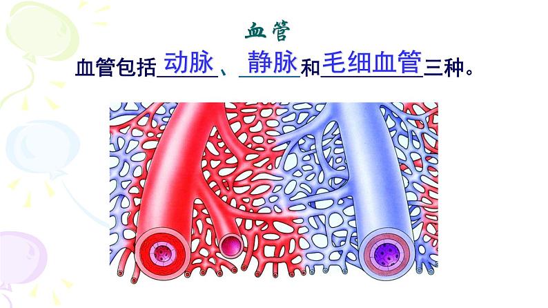 人教版生物七年级下册 第四章 血流的管道——血管（课件） (人教版)（共31张PPT)第6页