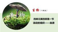 初中生物人教版 (新课标)七年级下册第一节 流动的组织──血液背景图课件ppt