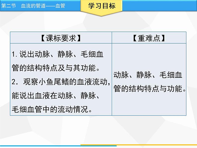 人教版生物七年级下册 第四章  血流的管道——血管（课件）七年级生物下册（人教版）第2页