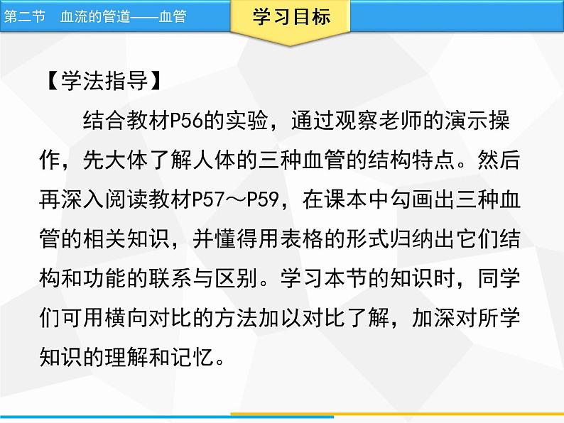 人教版生物七年级下册 第四章  血流的管道——血管（课件）七年级生物下册（人教版）第3页