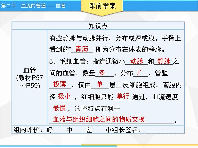 人教版生物七年级下册 第四章  血流的管道——血管（课件）七年级生物下册（人教版）第5页