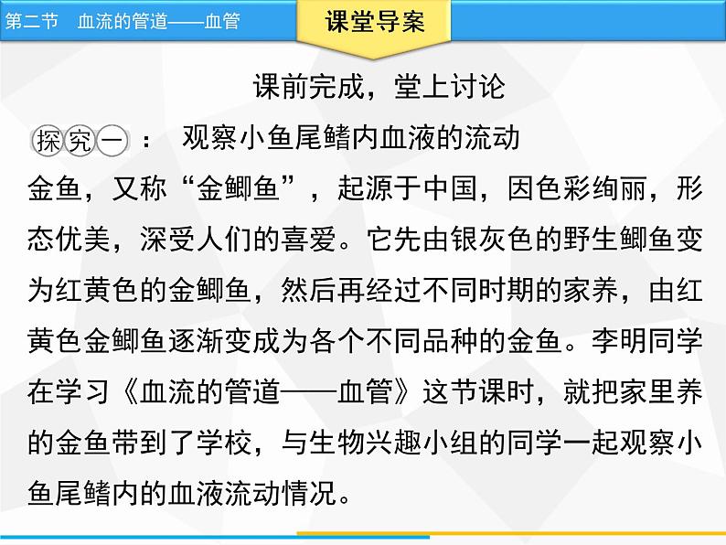 人教版生物七年级下册 第四章  血流的管道——血管（课件）七年级生物下册（人教版）第6页