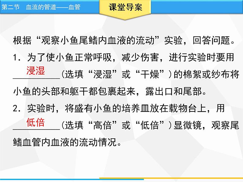 人教版生物七年级下册 第四章  血流的管道——血管（课件）七年级生物下册（人教版）第7页