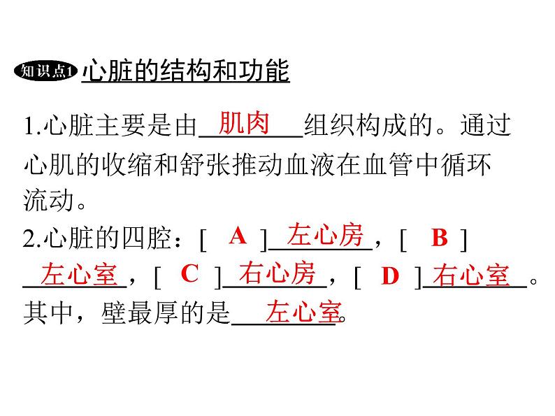 人教版生物七年级下册 第四章  输送血液的泵——心脏（课件）七年级生物下册（人教版）第3页