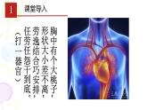 输送血液的泵──心脏PPT课件免费下载