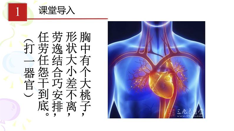 输送血液的泵──心脏PPT课件免费下载03